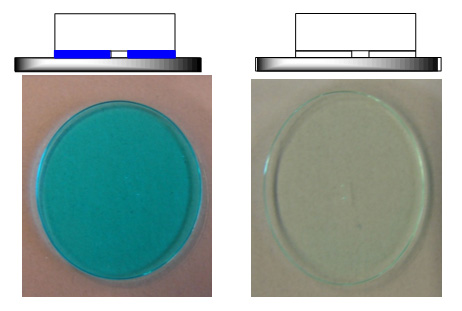 Color-On-Demand Color Formation and Bleach